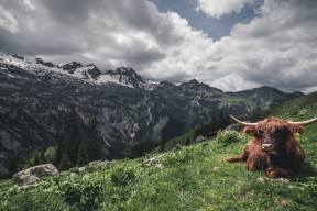 华体会-钢铁洪流VS沙漠之盾，努涅斯三分钟终结埃及神话
