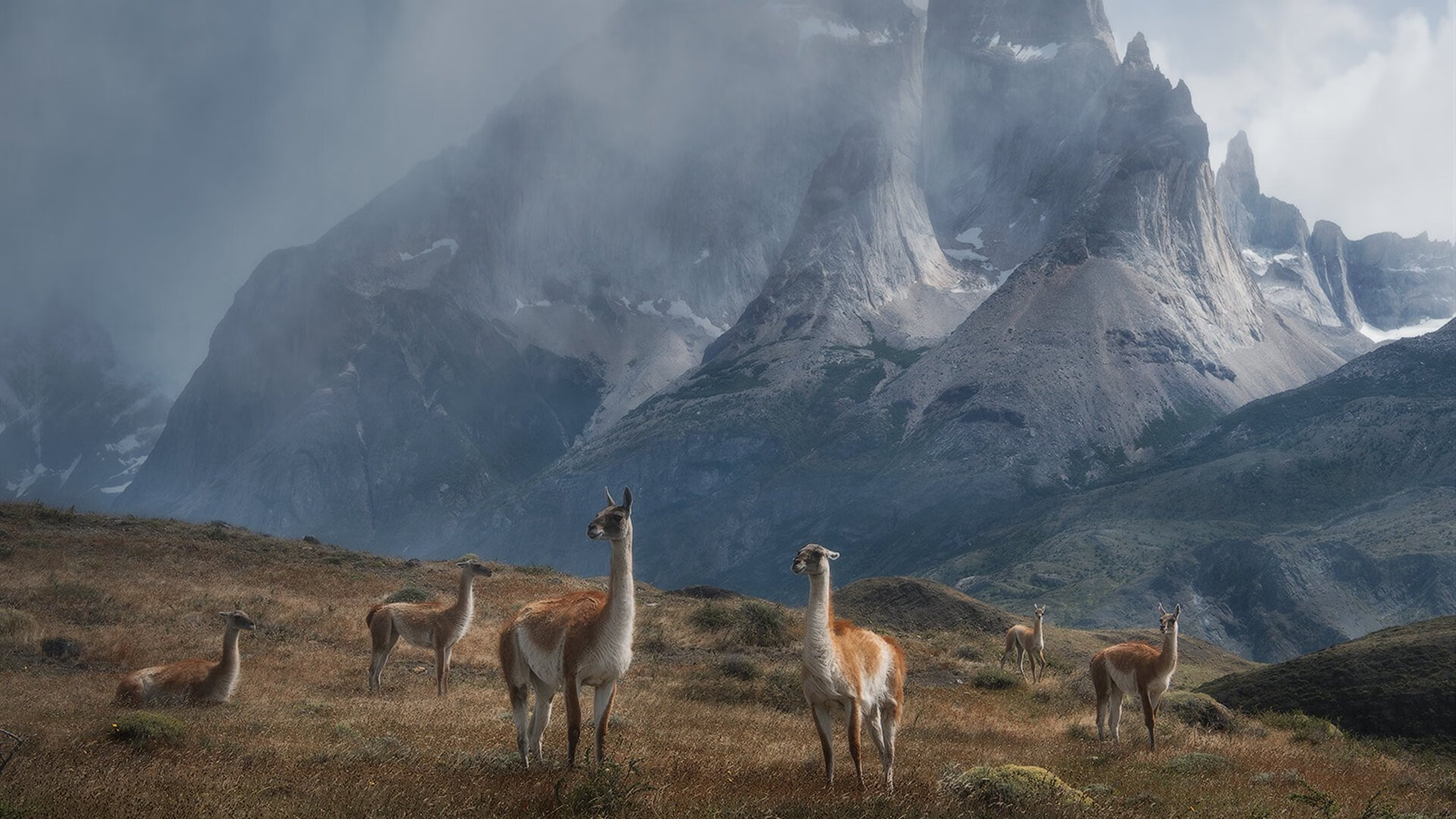 华体会登录-巴萨关键战突围波兰铁骑，贝林厄姆闪耀全场却难救主  第1张