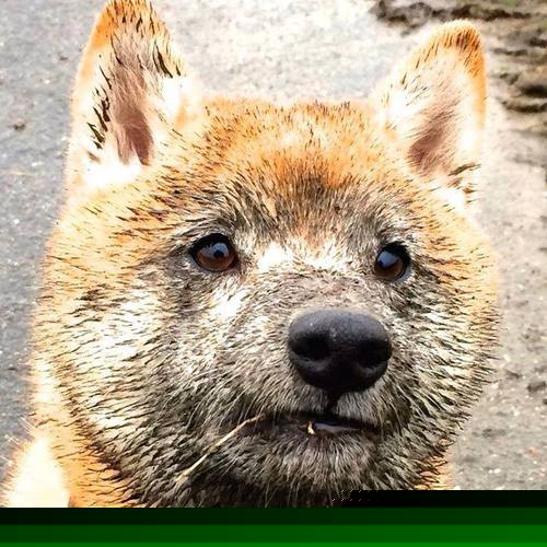 华体会体育-时空错位,姆巴佩穿越助阵,美国队终极对决虚拟药厂 第2张 华体会体育-时空错位,姆巴佩穿越助阵,美国队终极对决虚拟药厂 第2张